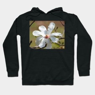 Magnolia Blossom Hoodie